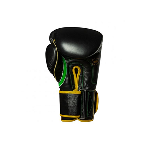 Title Boxing Boxing Gloves Title Boxing Gloves - WBC